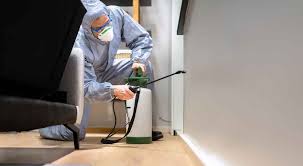 The Importance of Residential Pest Control in Ensuring a Healthy Home Environment
